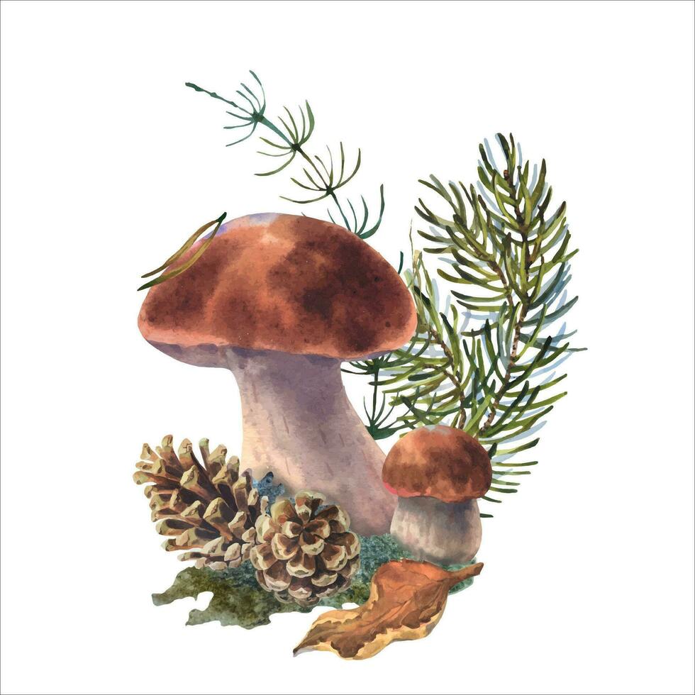 Botanical hand painted watercolor illustration of forest plant. A composition of forest plants, a stump with moss, lingonberries and mushrooms. vector