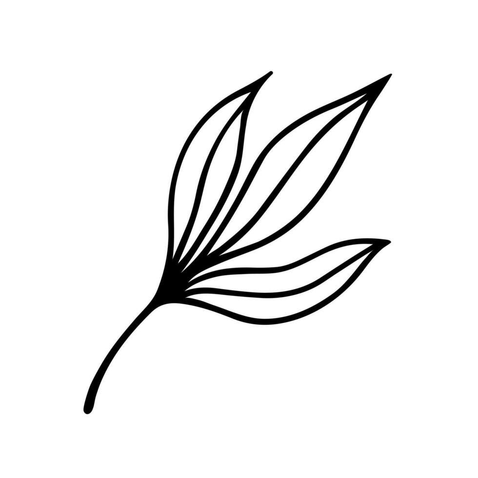 A branch with leaves vector icon. A twig of a wild or garden tree, shrub. Field, meadow herb. Hand drawn doodle, isolated botanical sketch. Floral clipart. Black outline for posters, print, wedding