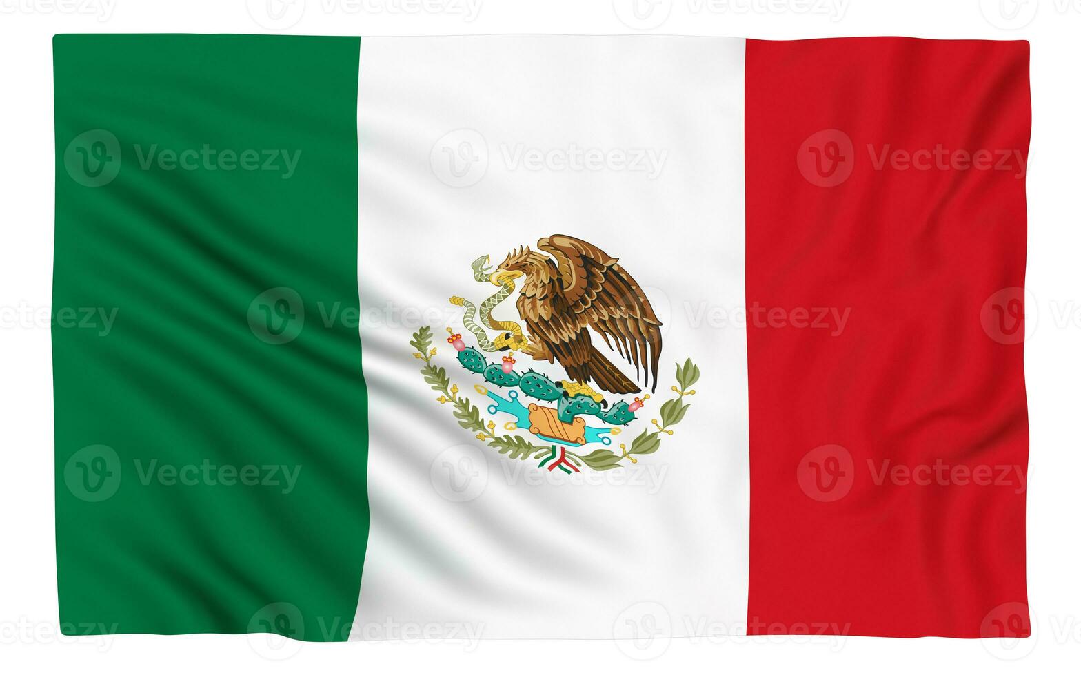 Flag of Mexico photo