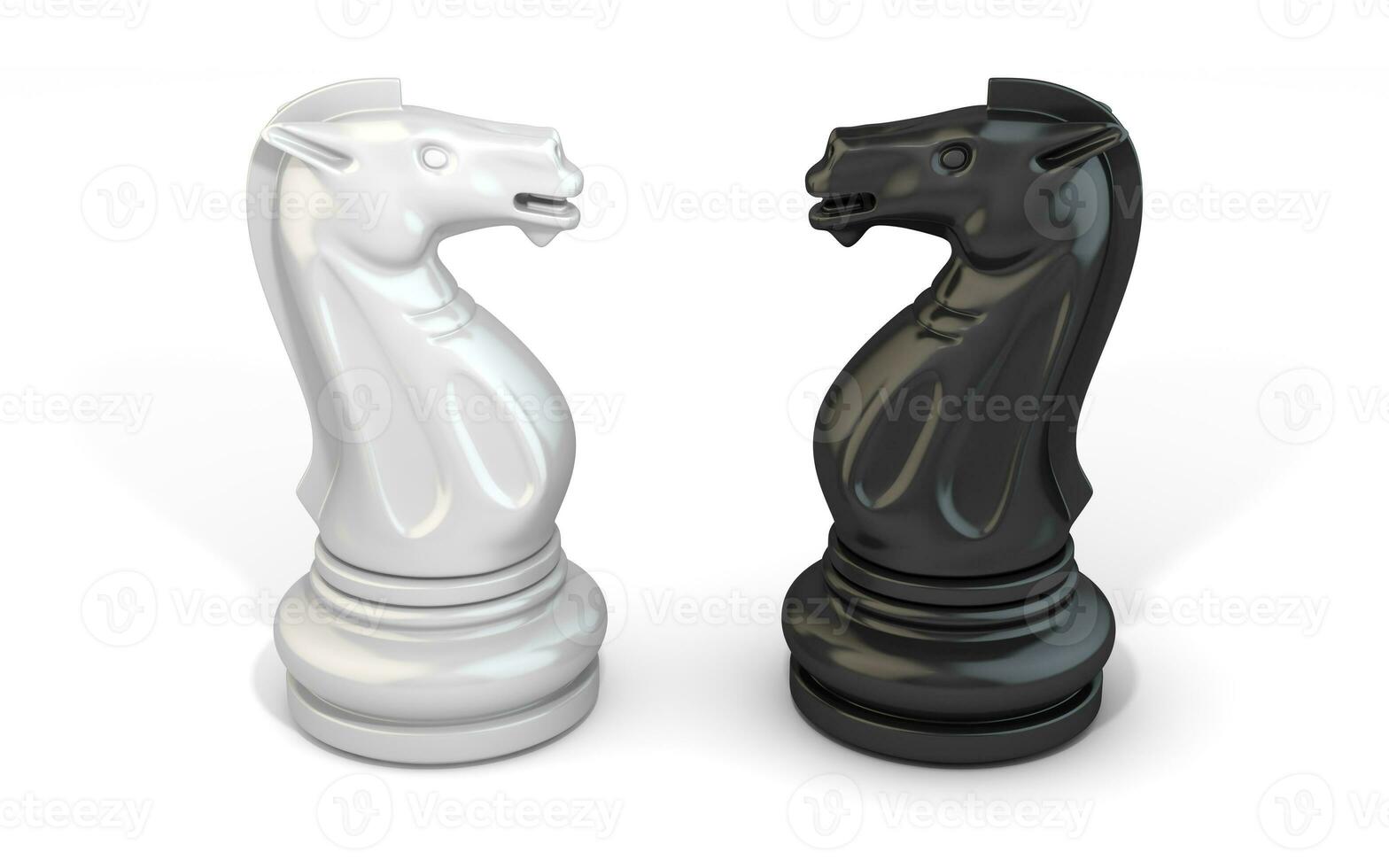 Chess Pieces Knight photo