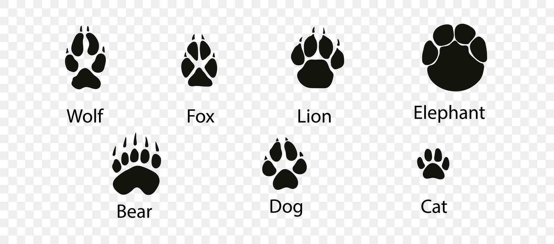 Vector set of wild wood animal tracks. Animal paw prints, vector different animals footprints black on white illustration.