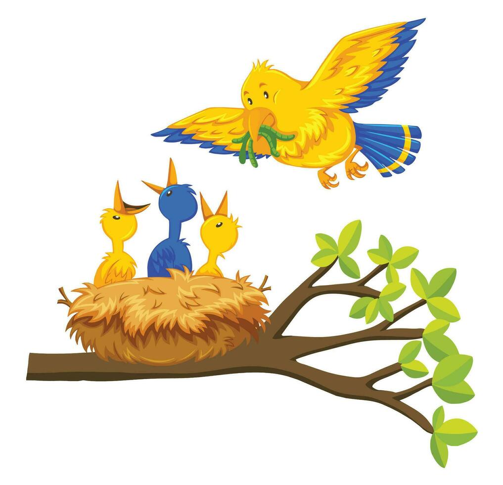 Mother Bird Feeding Baby Birds vector