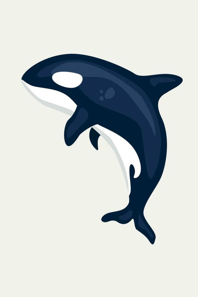 Isolated illustration of an orca. Vector cartoon killer whale