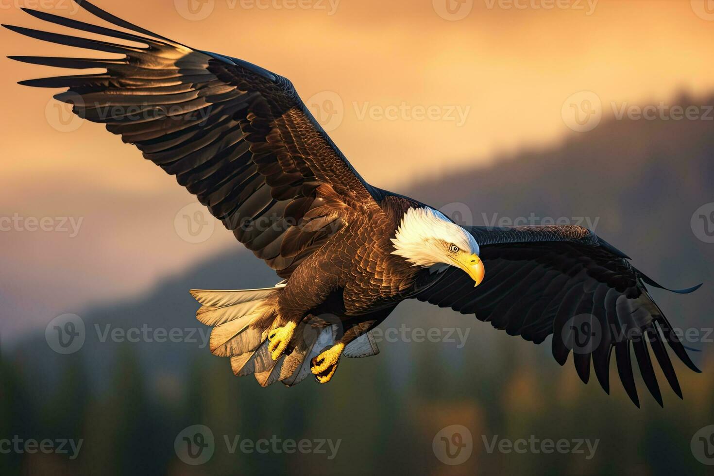 American bald Eagle flying in the clouds at Sunset. Eagle. Generative Ai photo