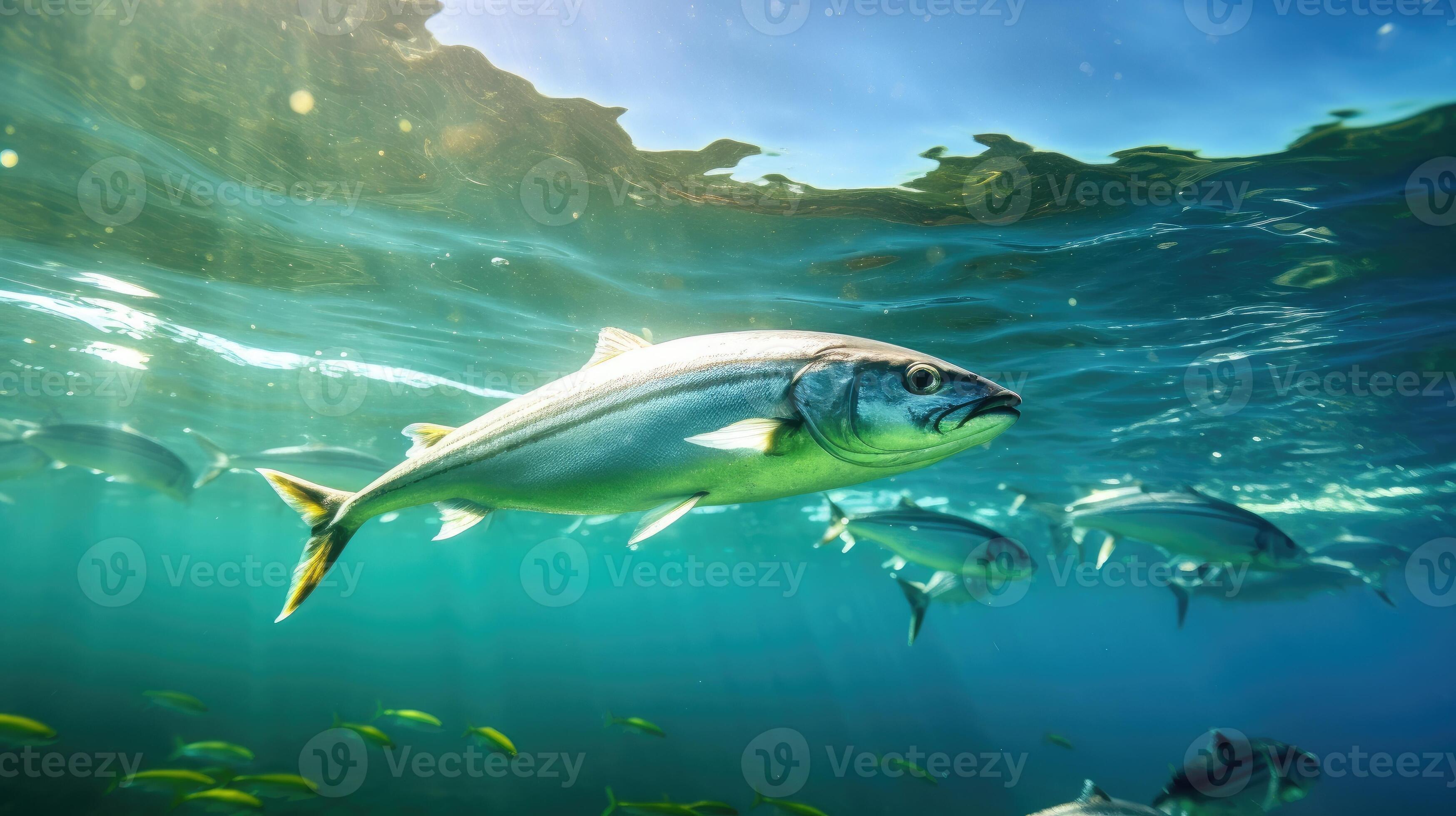 Sardines fish on ice in the market. Sardine fish. Generative Ai