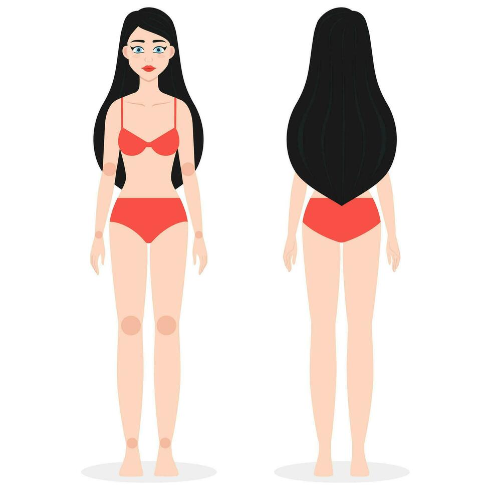 todo cuerpo linda morena en bikini frente y atrás. vector mujer personaje para animación, advirtisign o juego