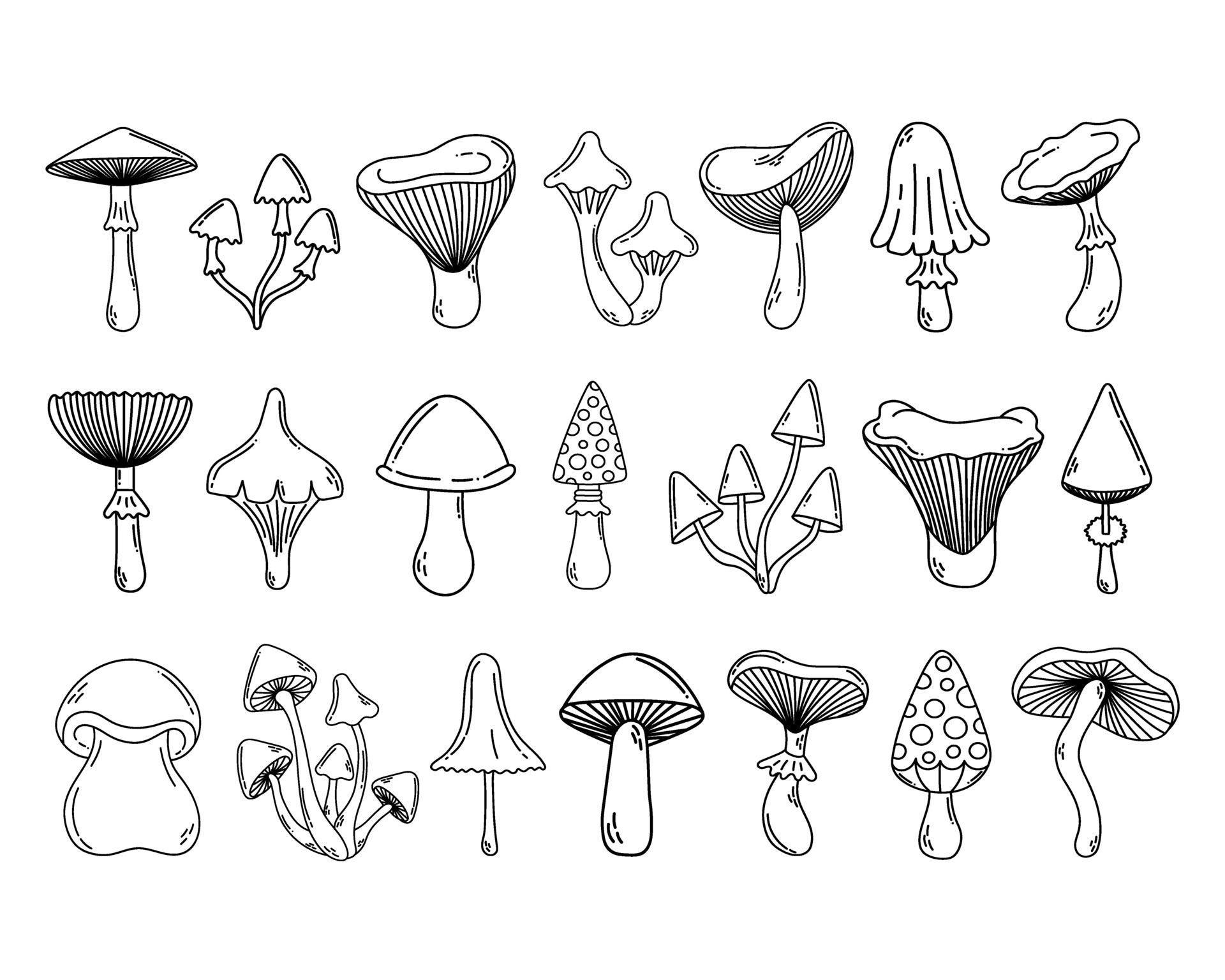 Simple vector doodle. Sketch drawing of forest mushroom. Easy to change