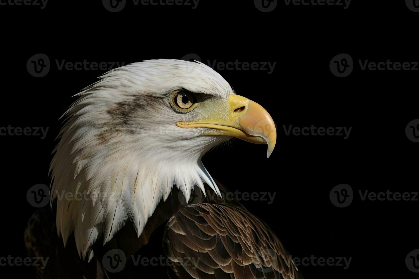 majestuoso calvo águila en un dramático de cerca en un oscuro antecedentes foto