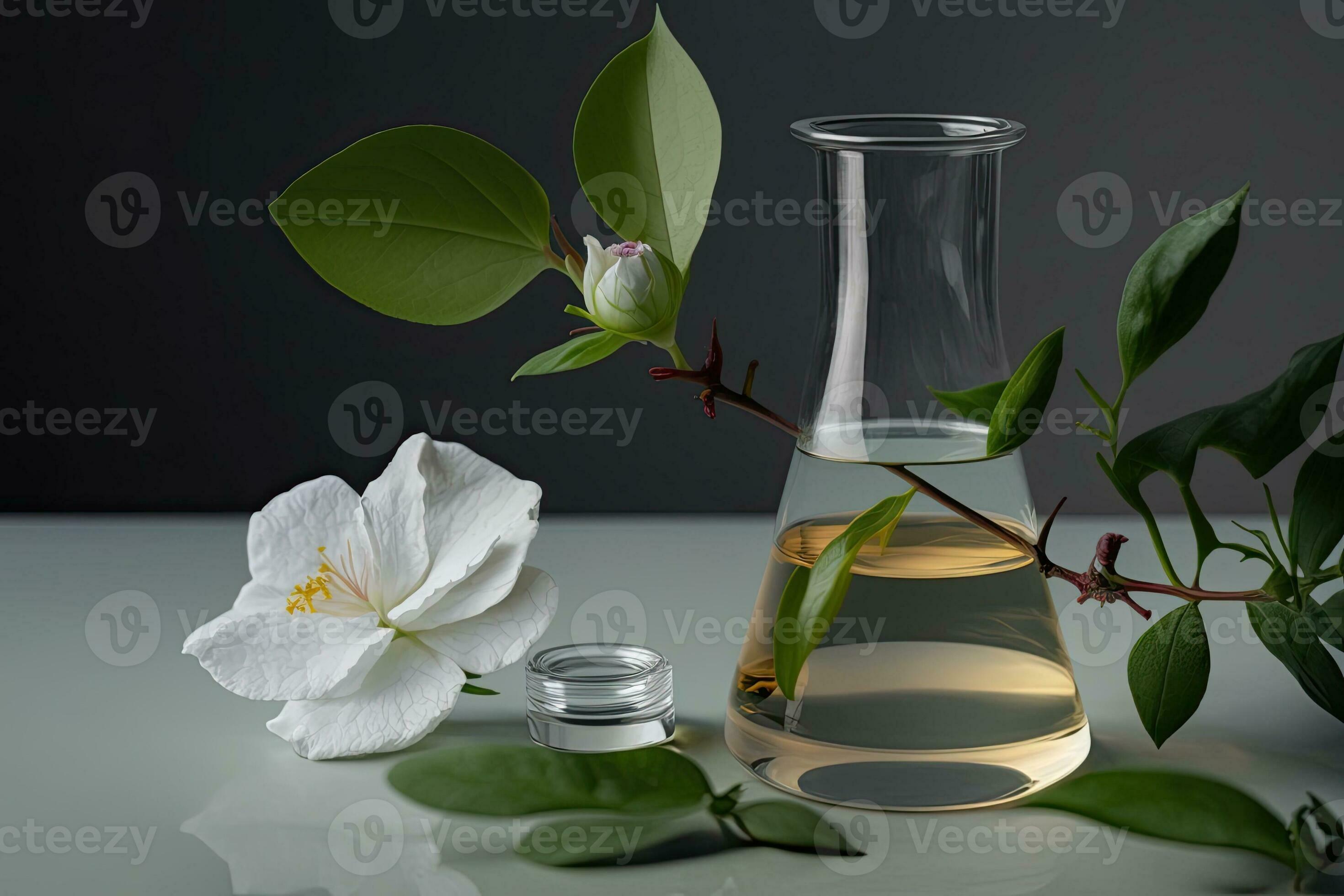 clear glass vase with a white flower submerged in water 28250520 Stock