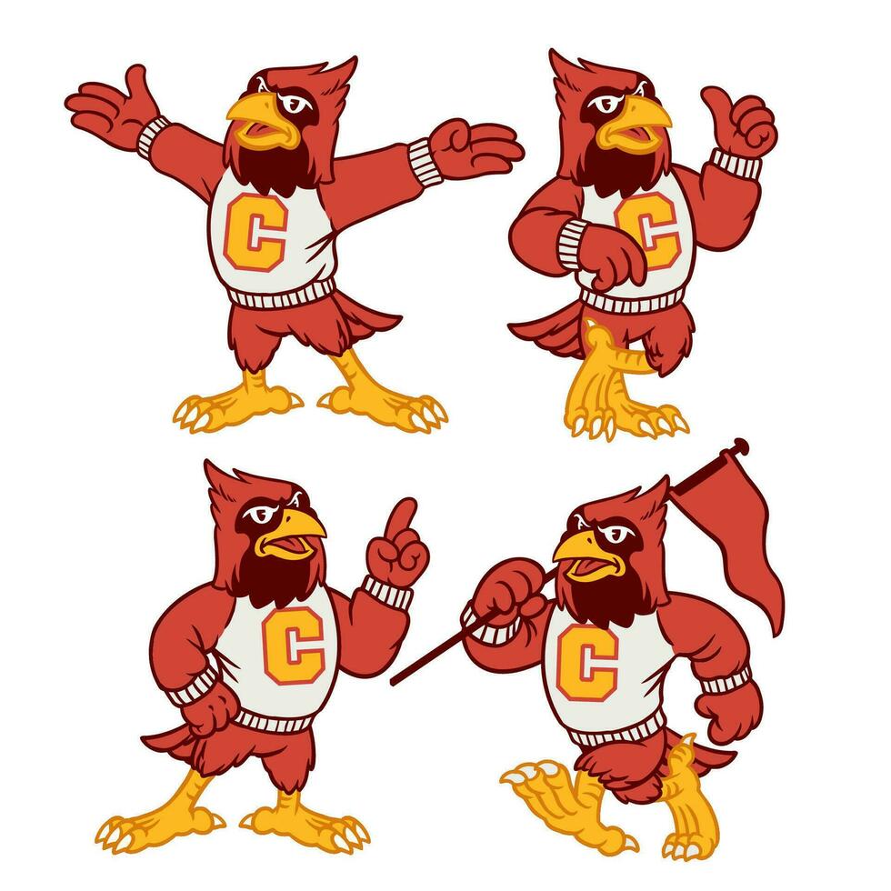 vector conjunto de cardenal deporte mascota en Clásico retro mano dibujado estilo