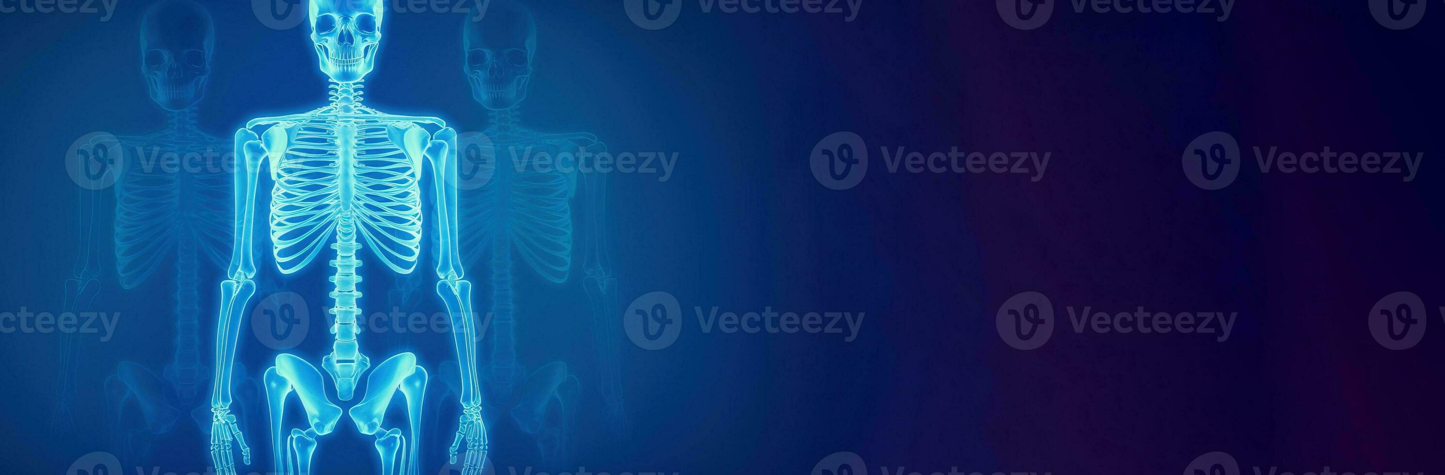 humano esqueleto en lámpara luz, azul antecedentes. científico cuerpo anatomía. ai generado. foto