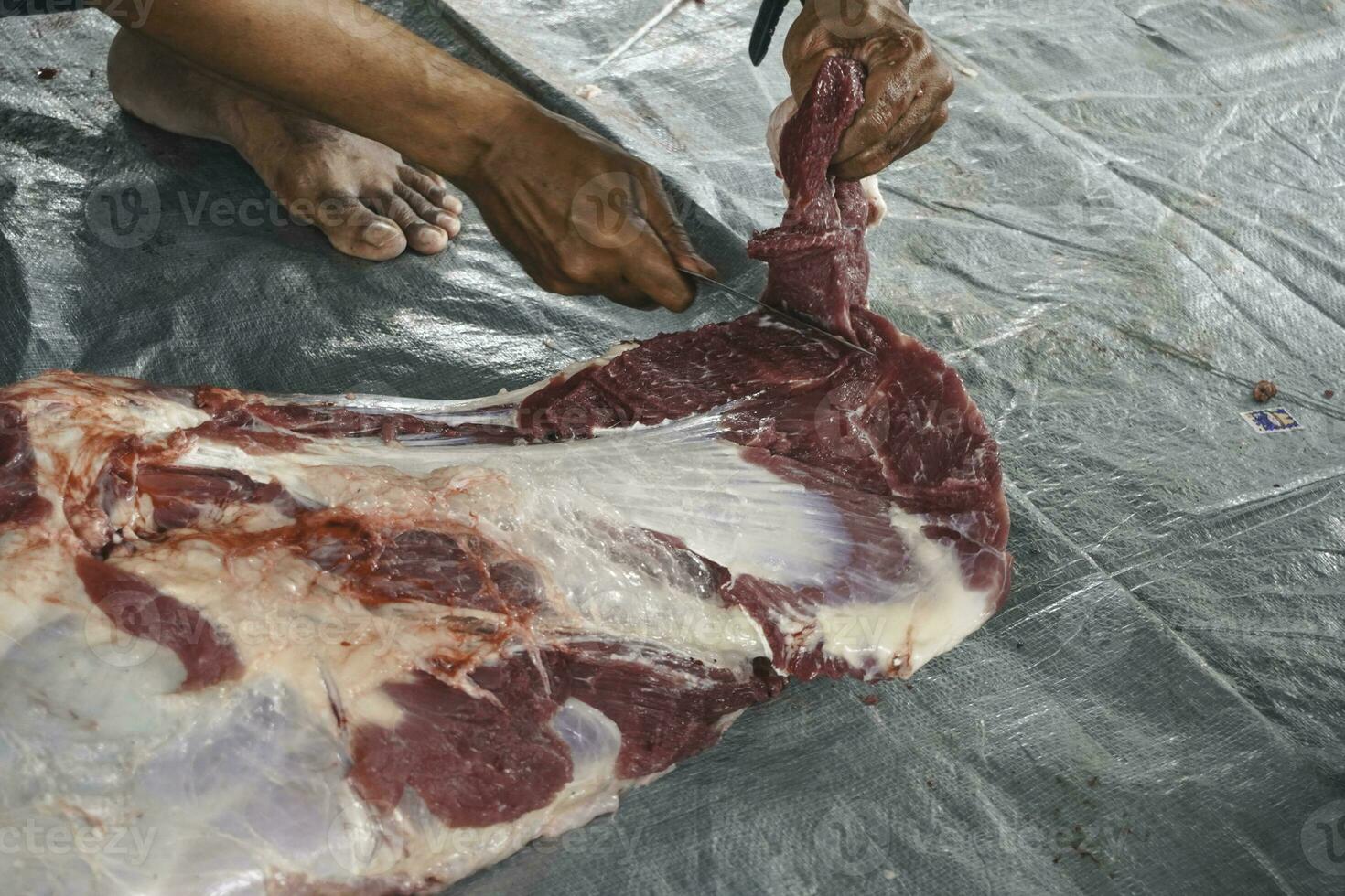 A portrait of Muslims cutting meat on Eid Al Adha by using cutting knife photo