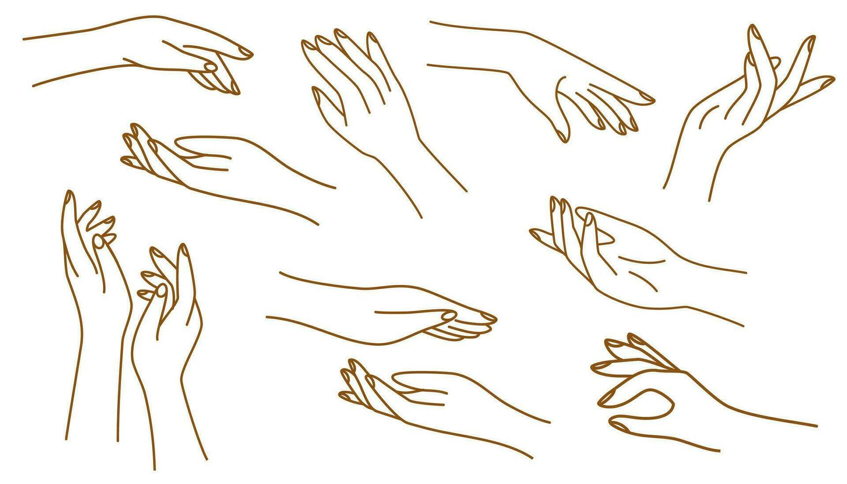 Outline woman hands. Contour women hands with various gestures in hand