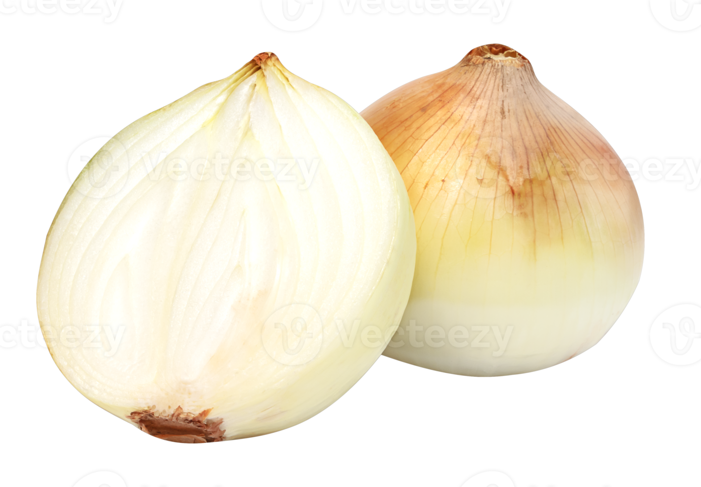 Half onion PNG