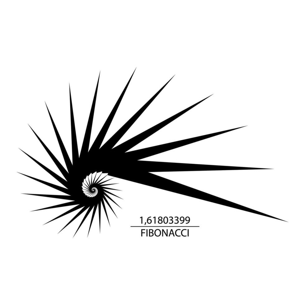 fibonacci secuencia dorado relación. geométrico formas espiral. caracol espiral. mar cáscara de negro triangulos. sagrado geometría logo modelo. logarítmico secuencias. vector aislado en blanco antecedentes