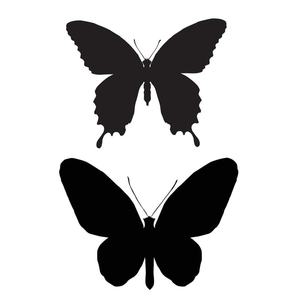 butterflies silhouette black vector