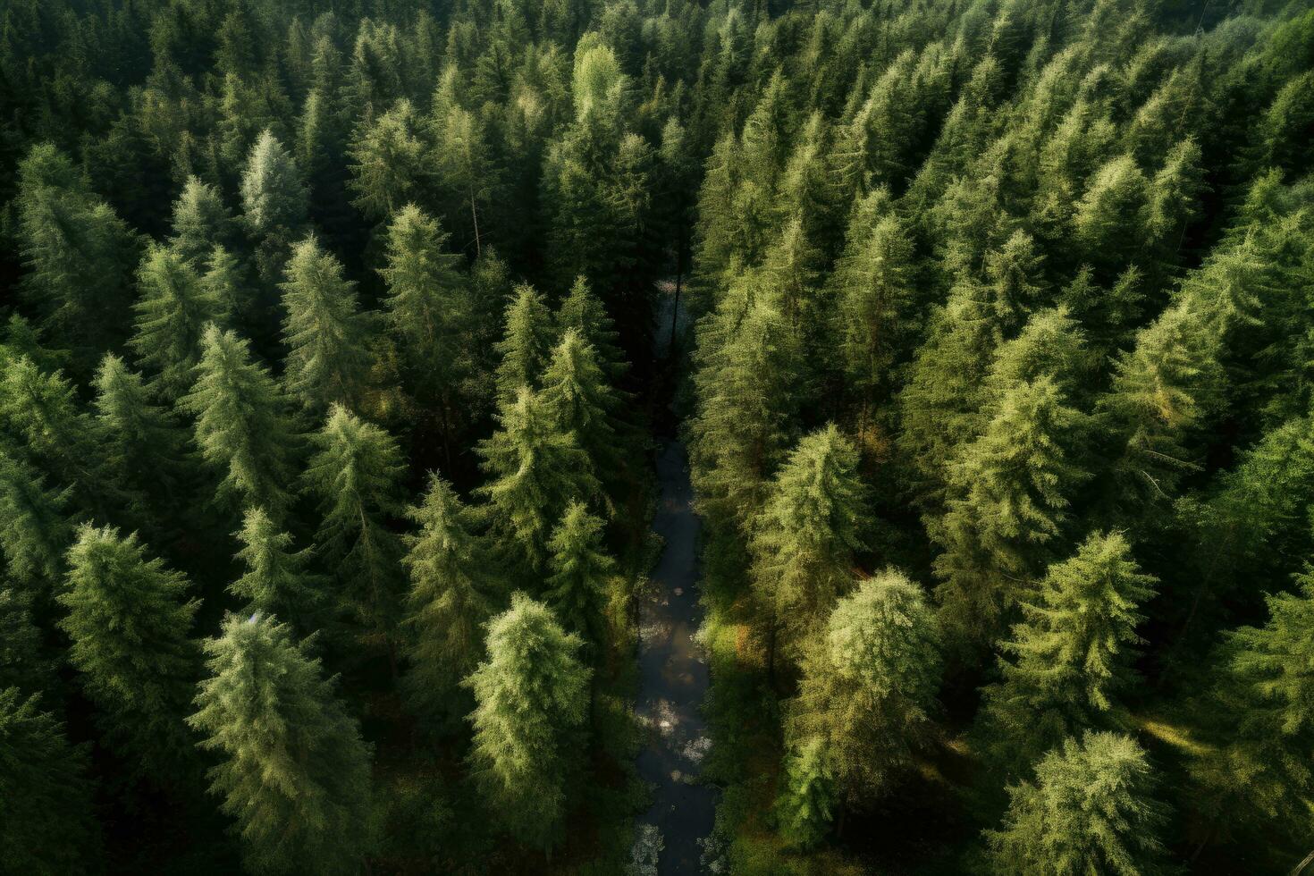 Aerial view of green coniferous forest. Drone photography. Aerial view of forest, AI Generated photo