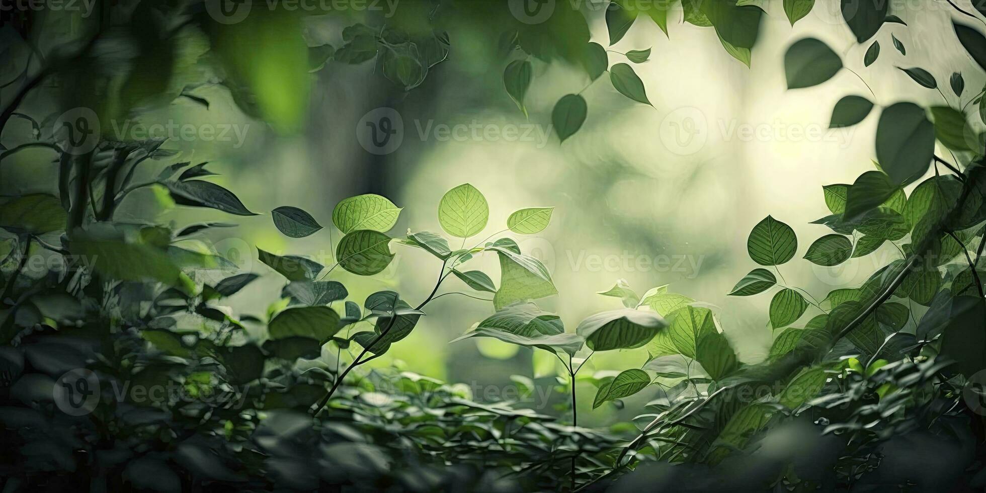 Lush Green Forest with Foliage in the Foreground photo