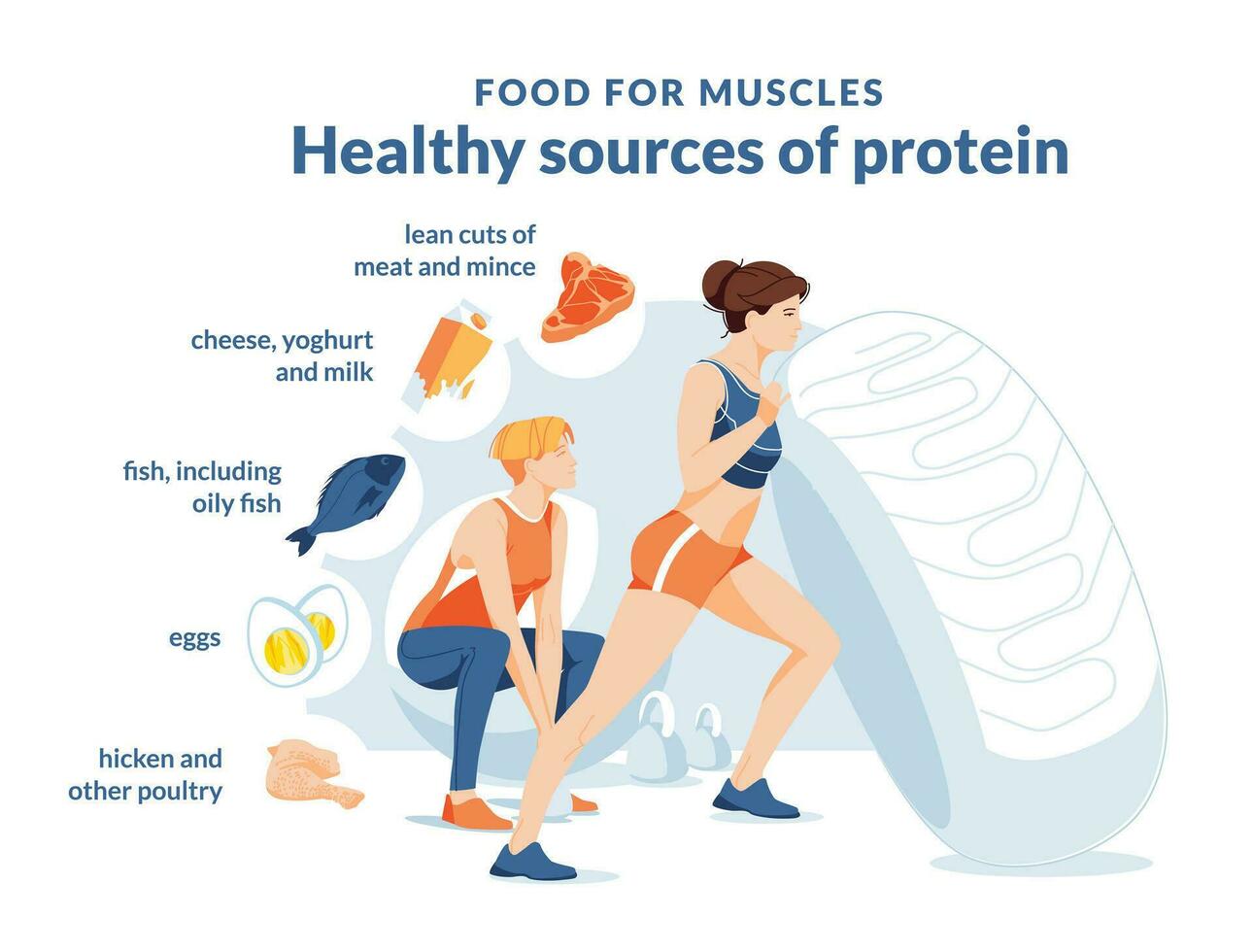 sano proteína fuente infografía. dos mujer en un blanco antecedentes son haciendo un ejercicio. crecimiento y sano comiendo. comida iconos tipografía. plano vector ilustración.