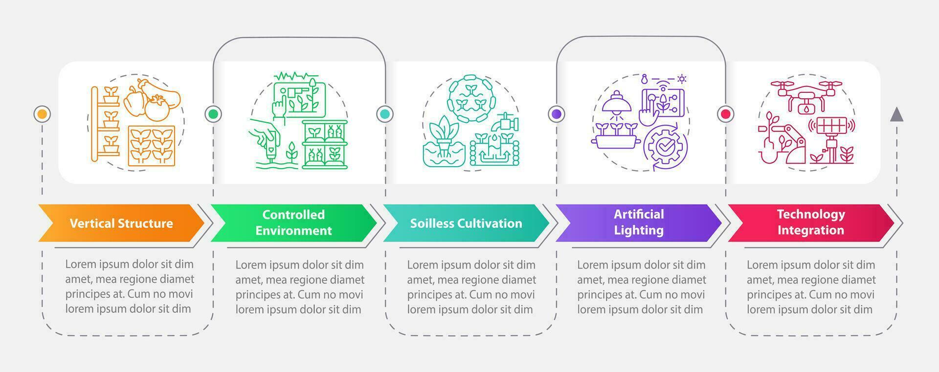 Vertical farming and hydroponics vector infographics multicolor template, data visualization with 5 steps, process timeline chart.