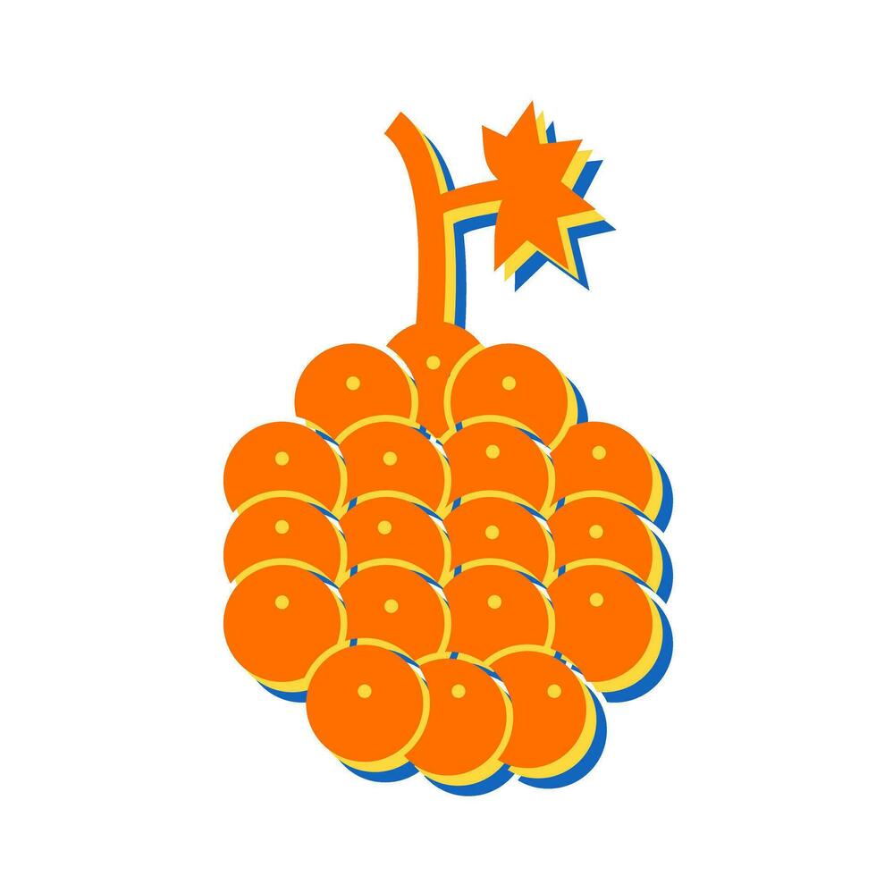 Raspberry Vector Icon