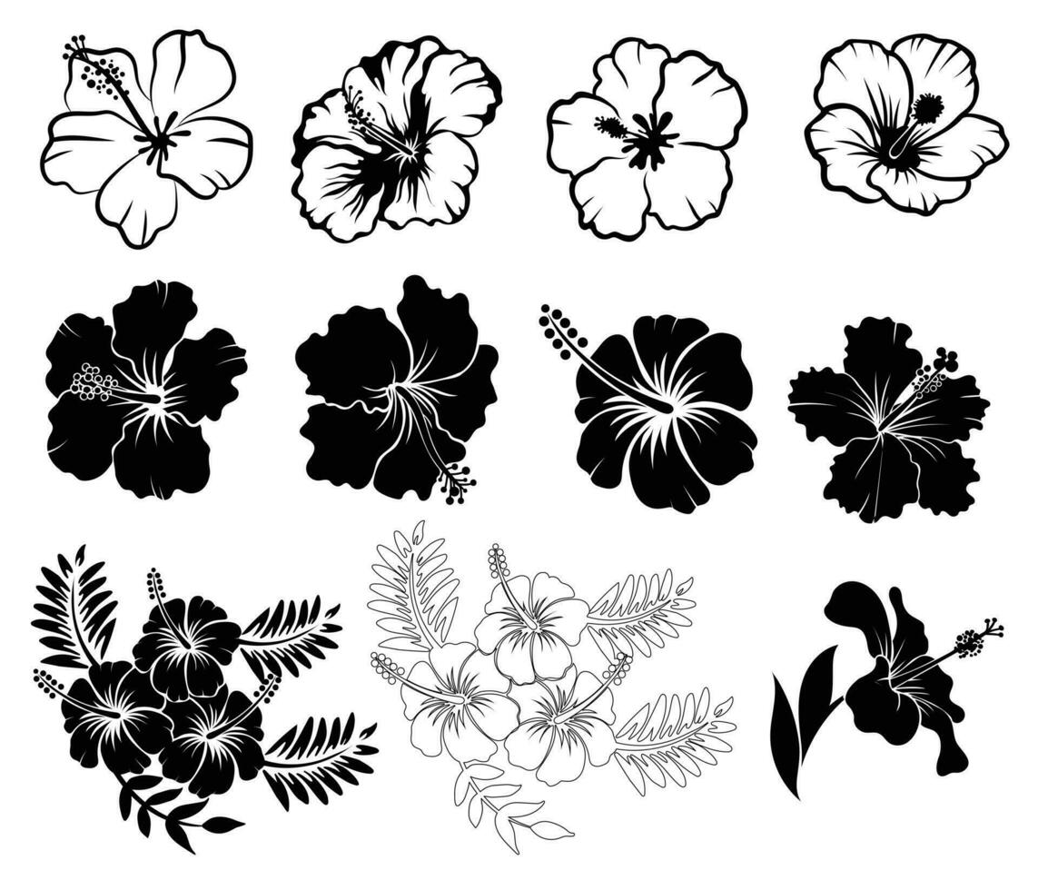 Collection of Hibiscus flower silhouettes, outlined vetor illustration vector