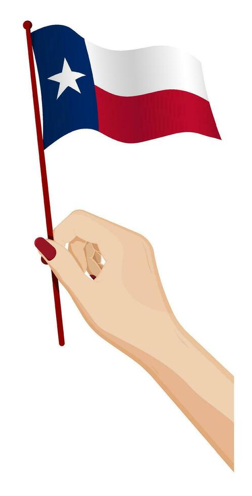 Female hand gently holds small flag of american state of Texas. Holiday design element. Cartoon vector on white background