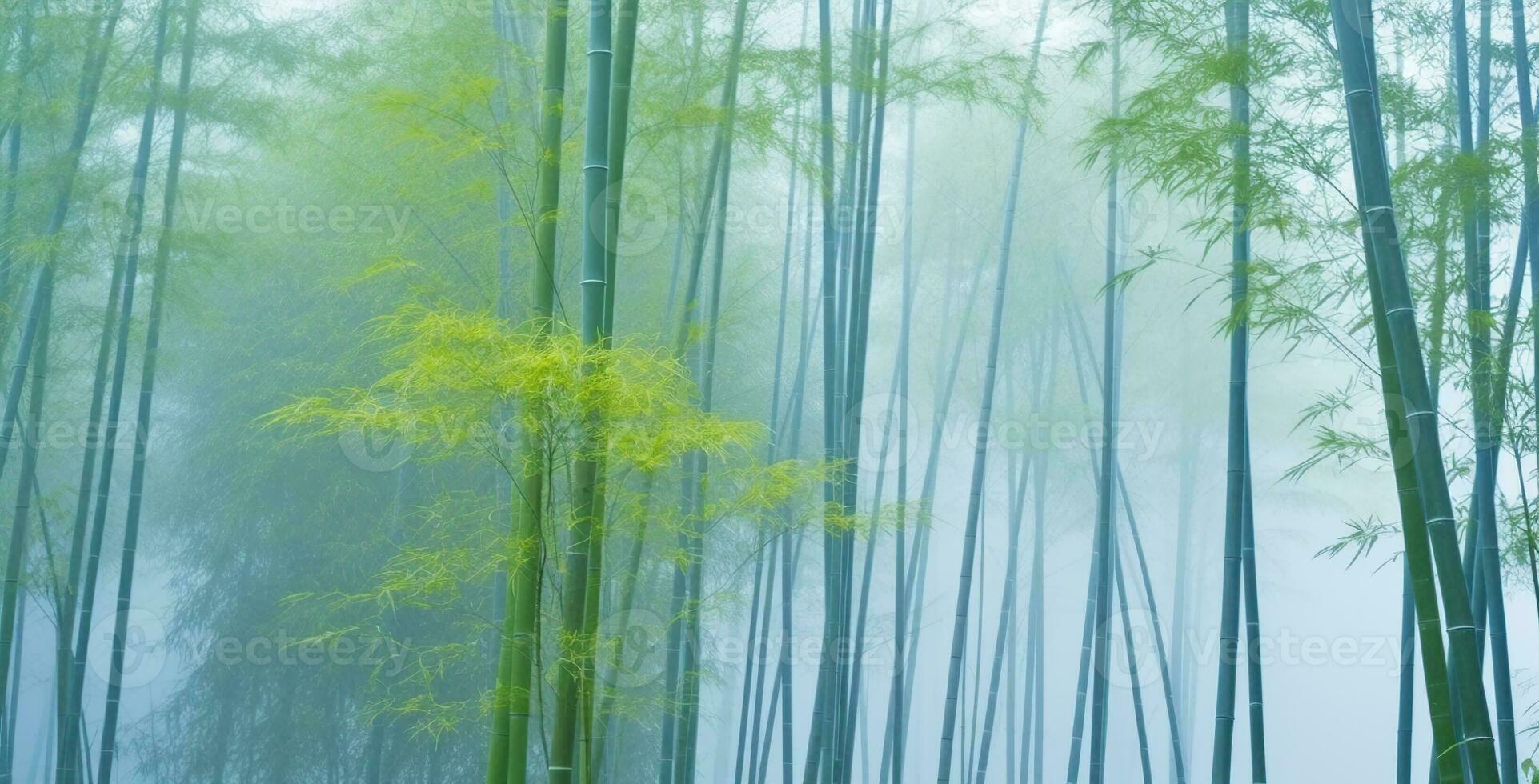 Bamboo forest in mist, natural background, Generative AI photo