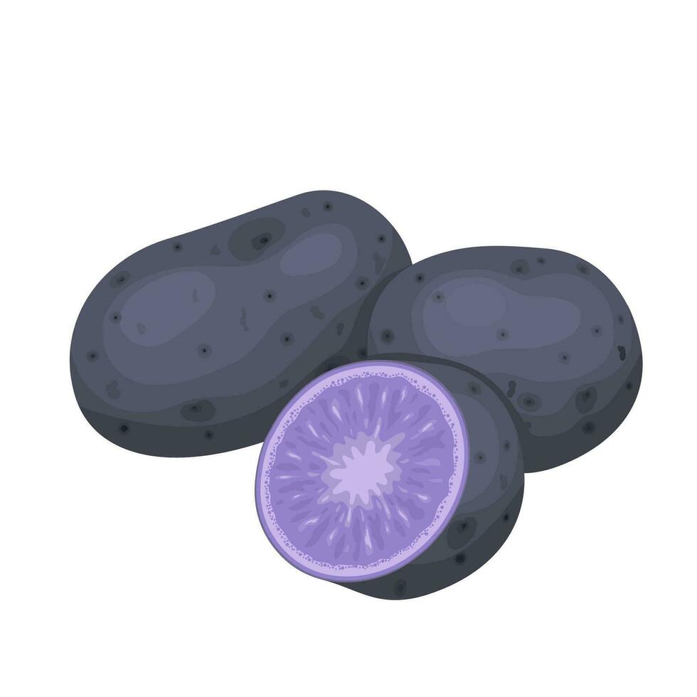 Blue potato vector illustration, isolated on white background.