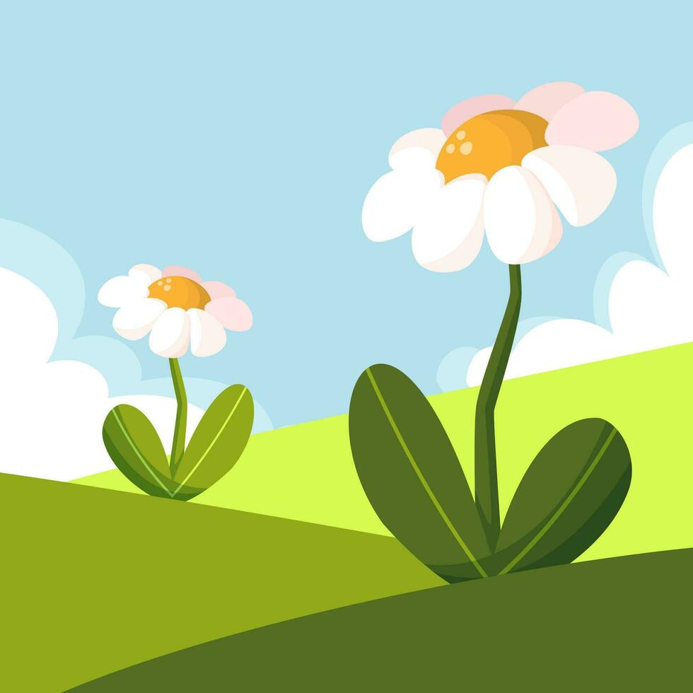 beautiful scenery, fields, chamomile flowers, clouds, cartoon style, vector, illustration, isolated vector
