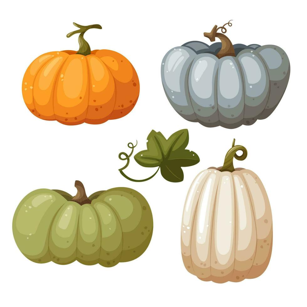 naranja, blanco, azul y verde calabazas con hoja y remolino aislado en blanco fondo, vector ilustración en dibujos animados, plano estilo. otoño cosecha. Víspera de Todos los Santos calabaza. acción de gracias calabaza.