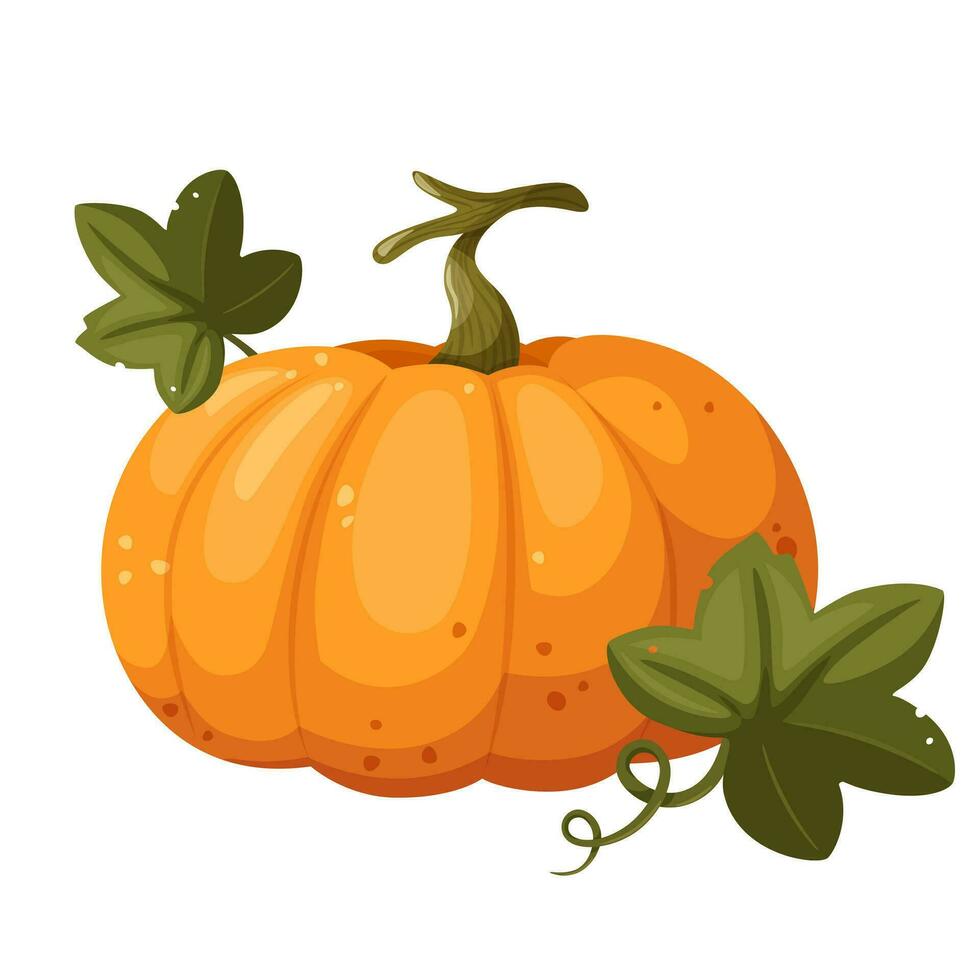 Orange pumpkin with leaf and swirl isolated on white background, vector illustration in cartoon, flat style. Autumn harvest. Halloween pumpkin.