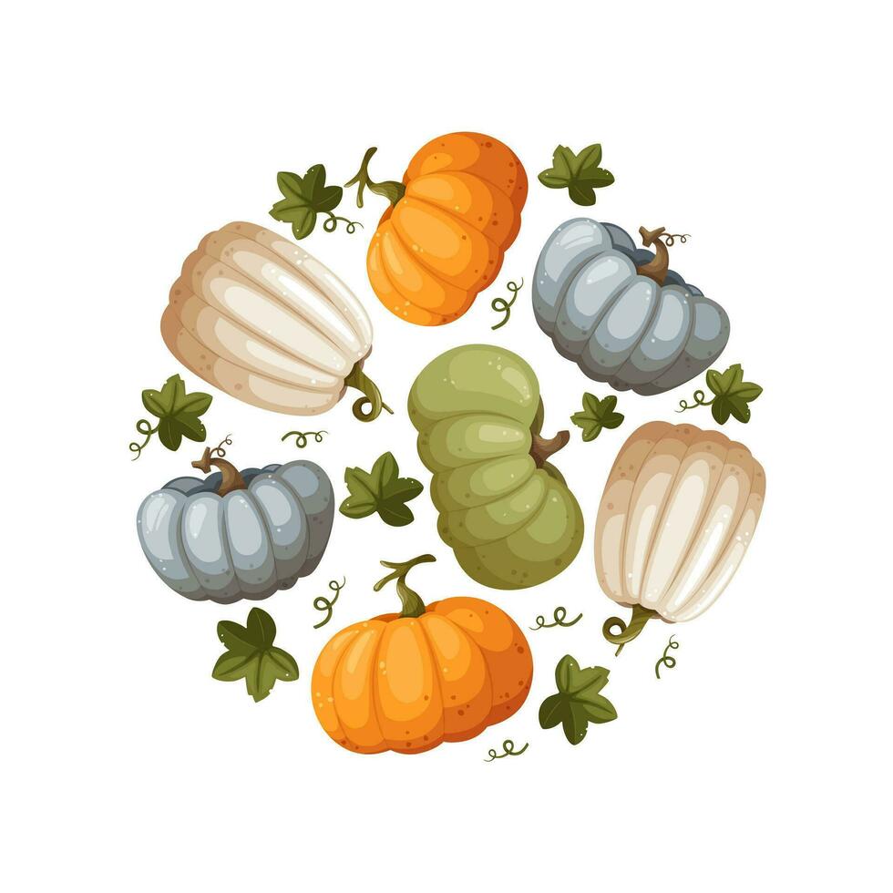 un variedad de calabazas recogido en un redondo modelo. adecuado como un antecedentes para acción de gracias, cosecha día, Víspera de Todos los Santos, pancartas, fondo de pantalla, envase, tarjeta postal - vector imagen