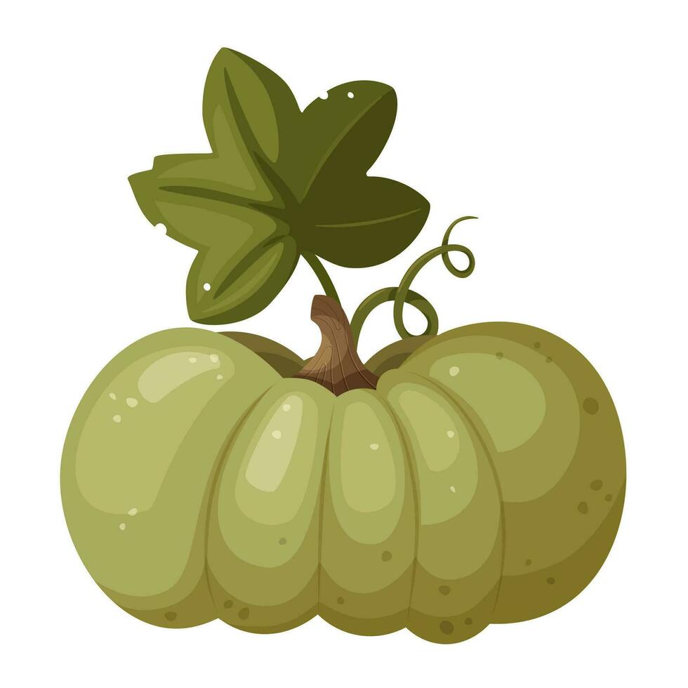 verde calabaza con hoja y remolino aislado en blanco fondo, vector ilustración en dibujos animados, plano estilo.