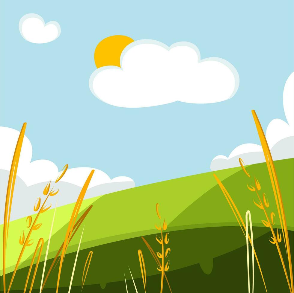 Wheat field sky with clouds. Countryside summer background gold color grain nature. Vector illustration of barley in cartoon style. Grains of wheat. Summer landscape with a field of ripe wheat