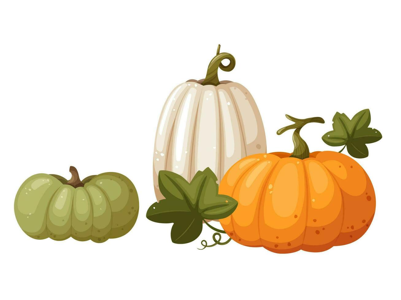 Orange, white and green pumpkins with leaf and swirl isolated on white background, vector illustration in cartoon, flat style. Autumn harvest. Halloween pumpkin. Thanksgiving pumpkin.