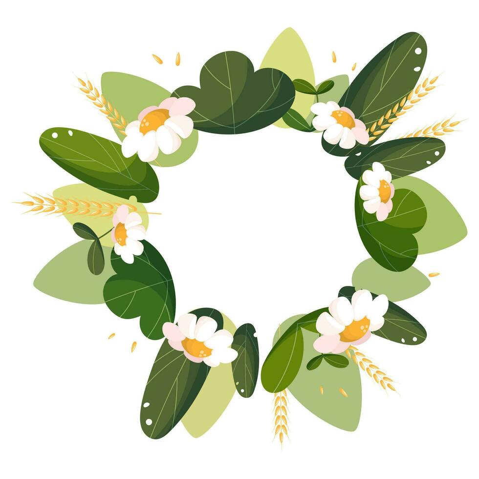 Chamomile flower wreath isolated on white background vector illustration. Midsummer holiday background concept.