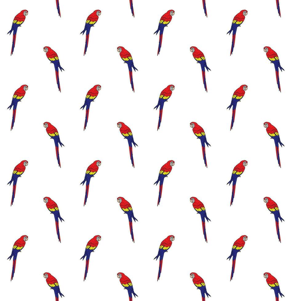 Vector seamless pattern of colored macaw parrot