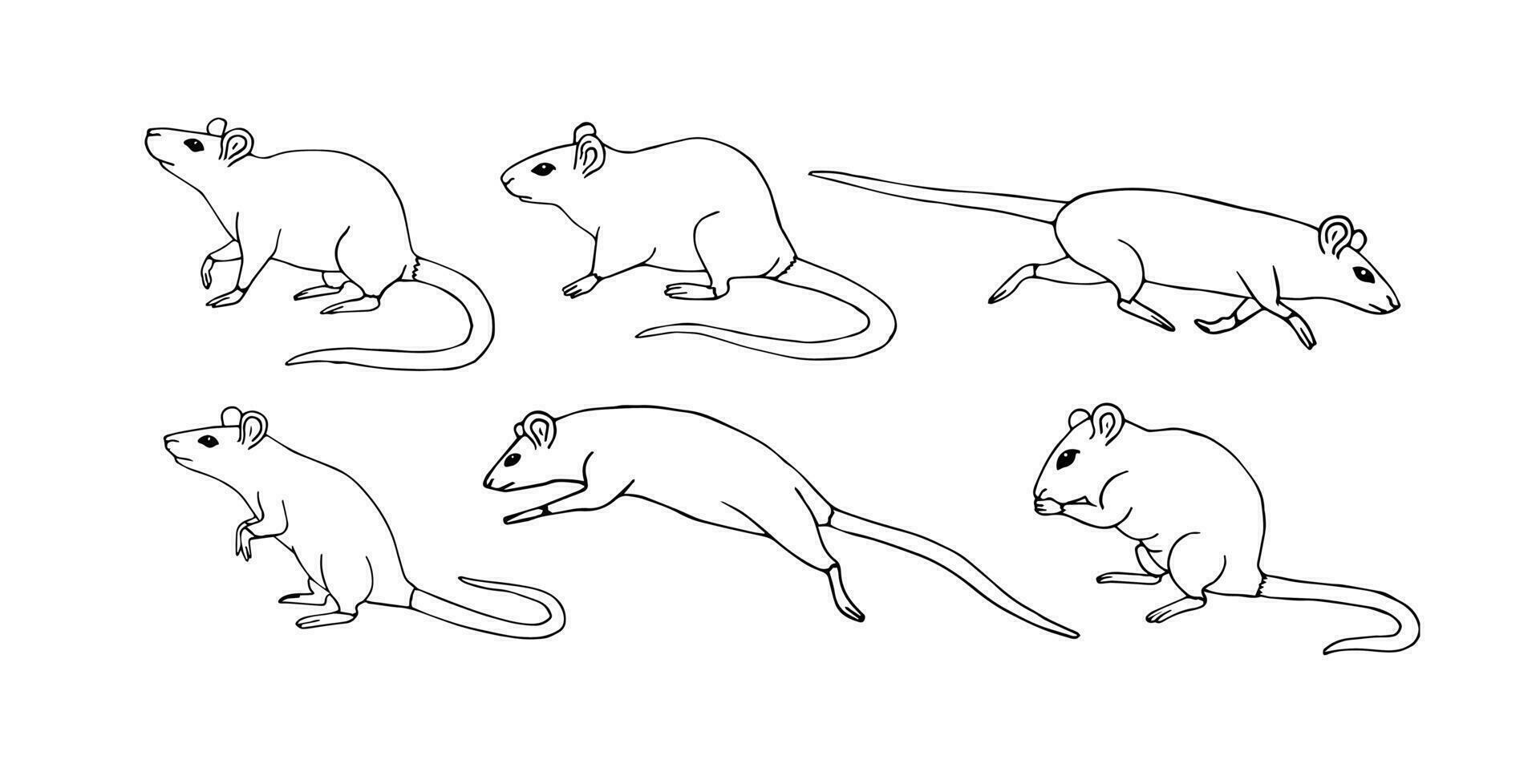 Vector hand drawn sketch set of rat mouse