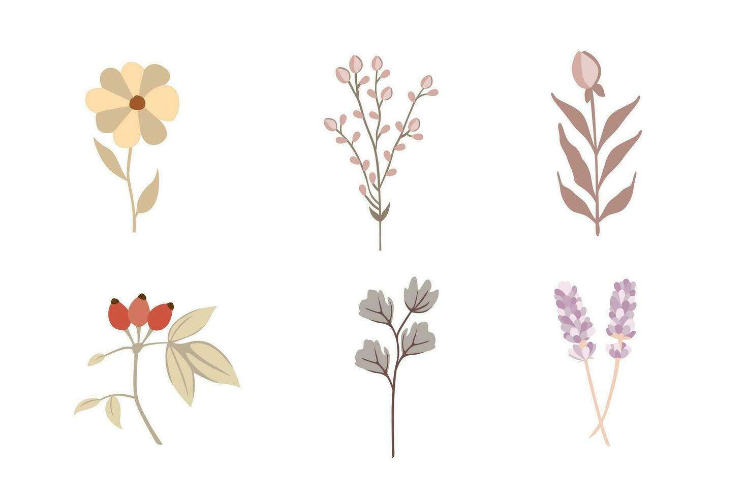Set of hand drawn flowers, leaves and branches. Vector illustration.
