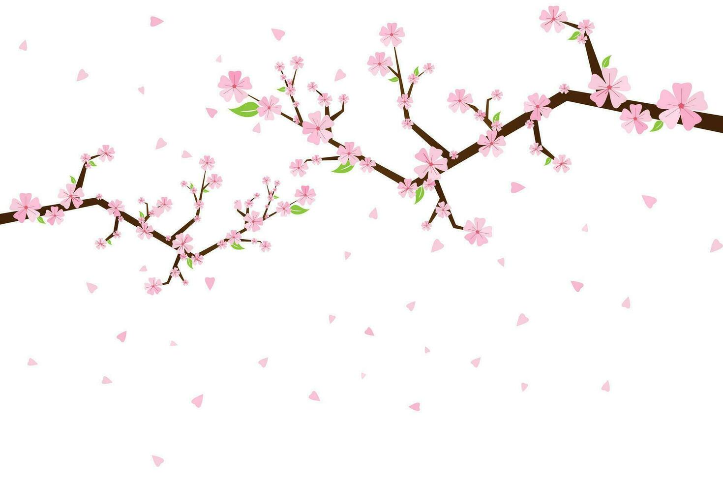 Sakura flowers. Cherry tree blossom. Spring garden flowers. Isolated white background. vector