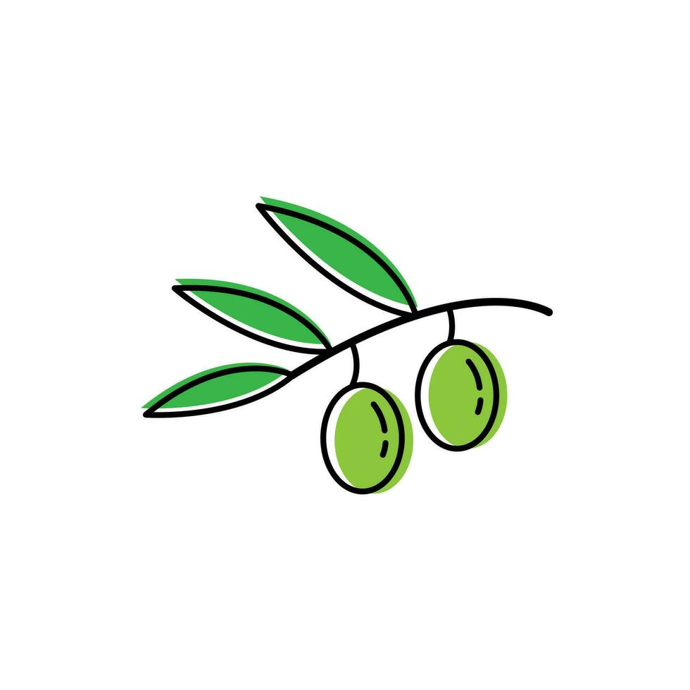 Green olives in the branch. vector