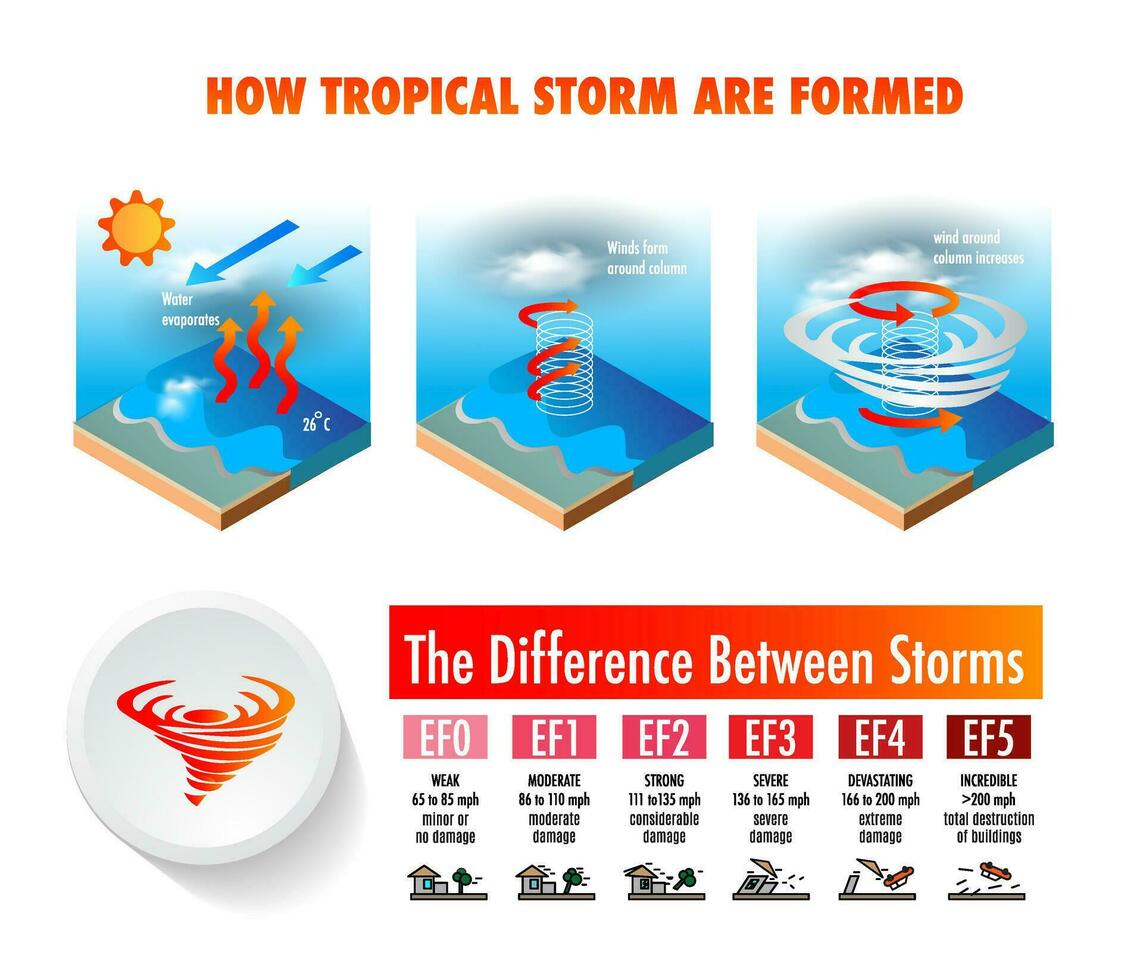 tropical ciclones huracán tifón formar en el Oceano isométrica infografía información vector