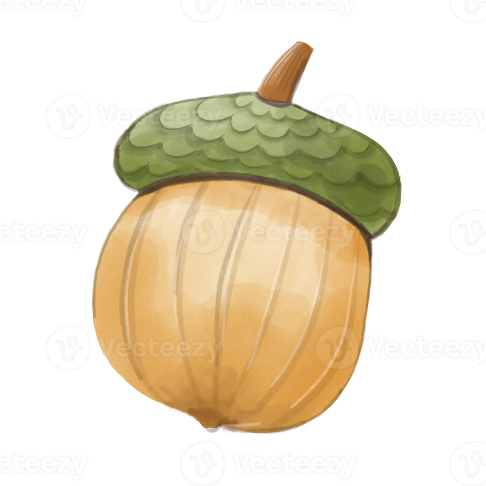 Acorn autumn element png
