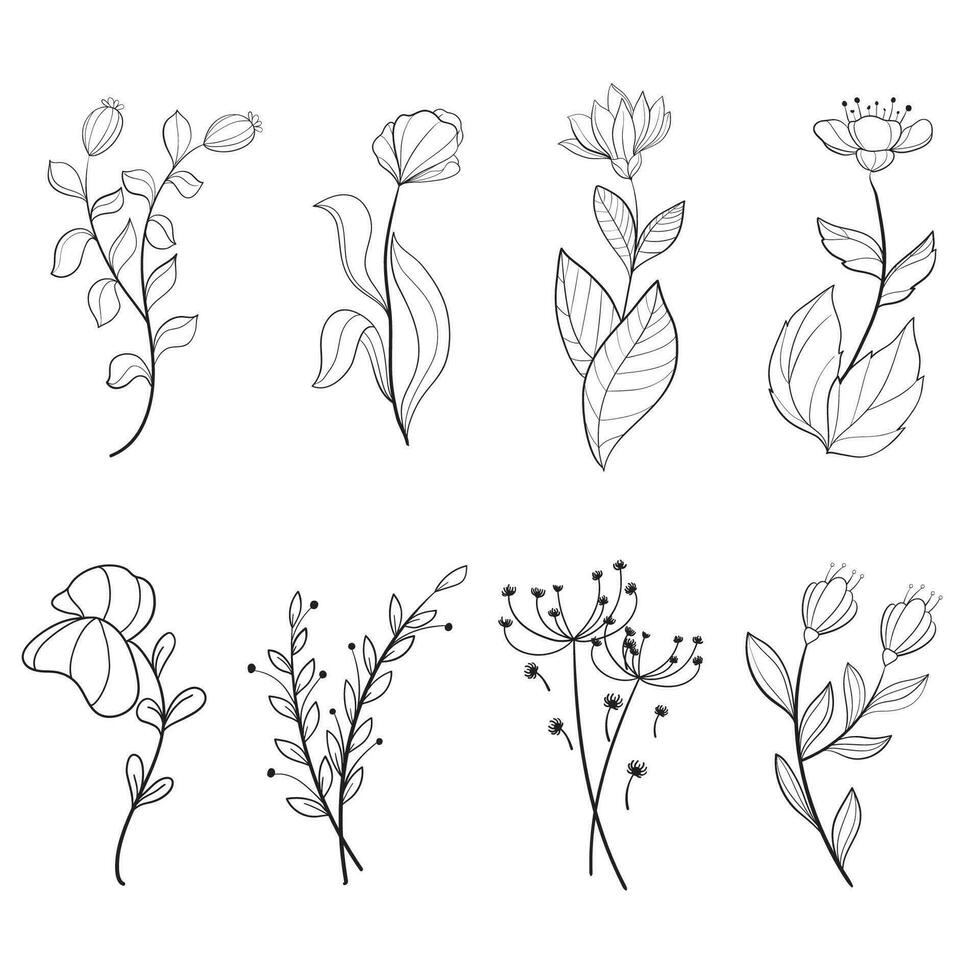 set of botanical leaf doodle wildflower Botanical line art drawings collection vector