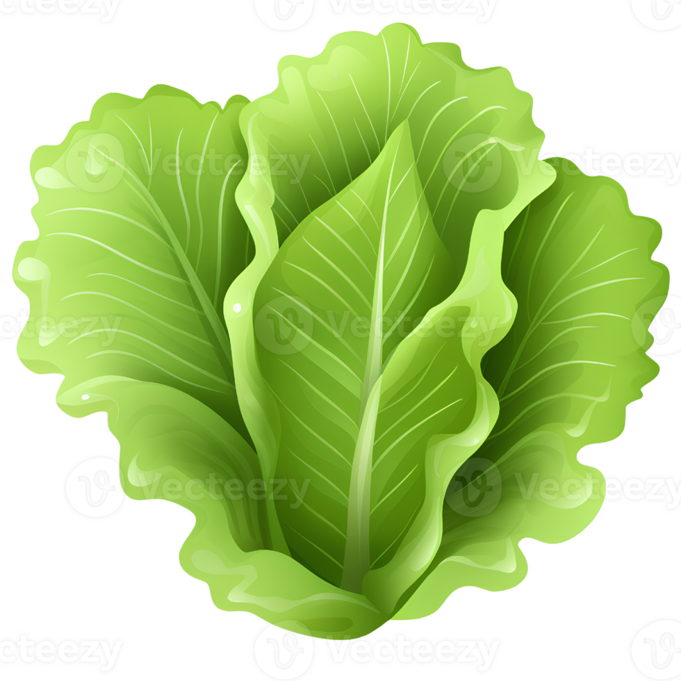 lettuce vegetable ai generative png