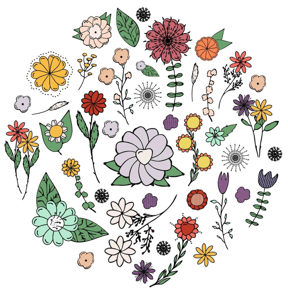 Illustration of flowers and leaves in a circle vector