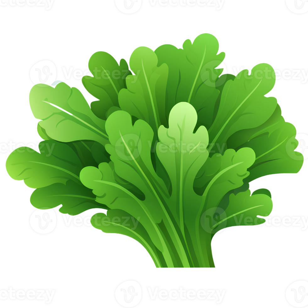 arugula vegetable illustrator ai generative png