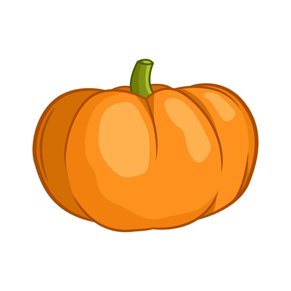 Orange pumpkin vector illustration. Autumn halloween or thanksgiving pumpkin, vegetable graphic icon or print, isolated.