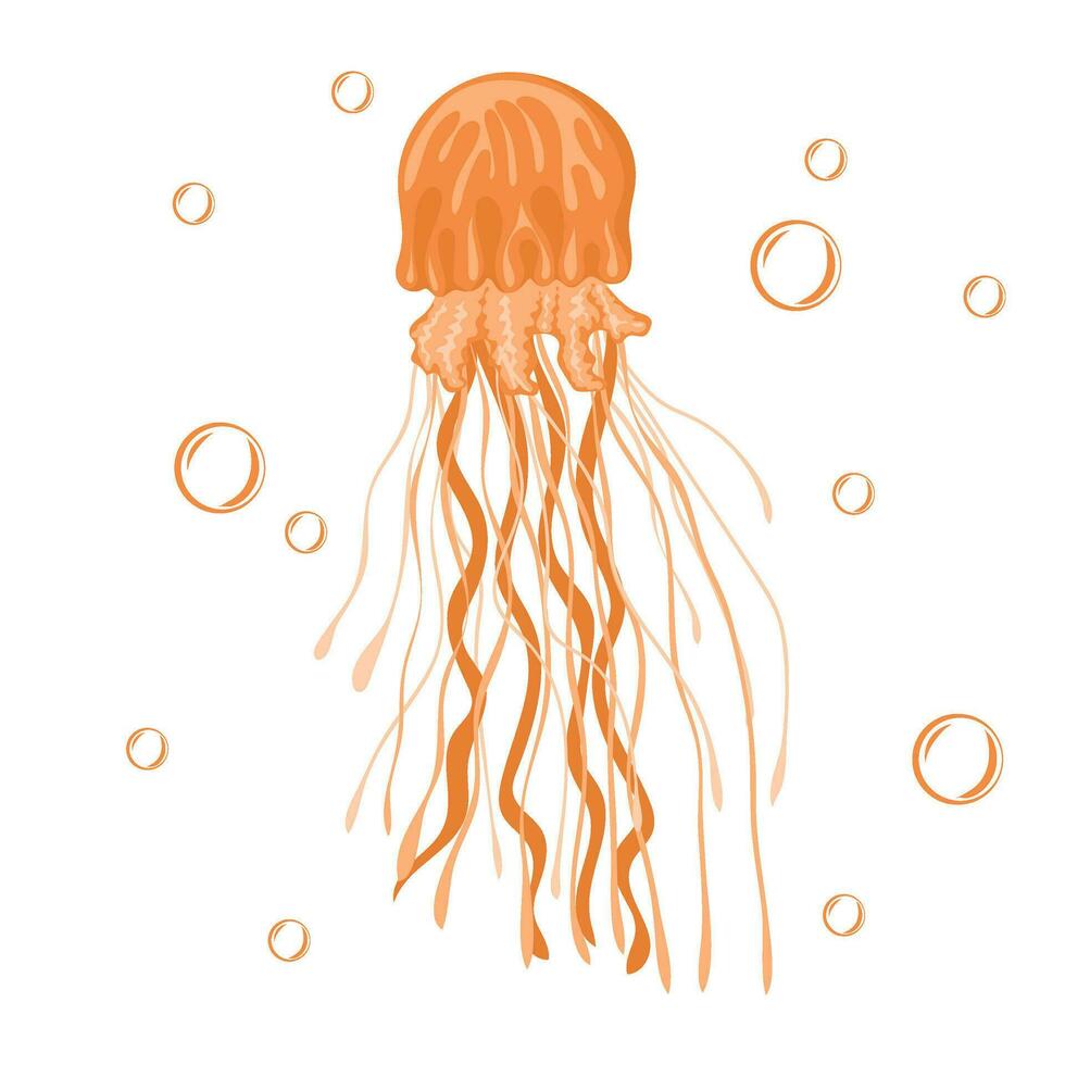 Jellyfish. Marine dweller. Concept of sea and ocean life vector
